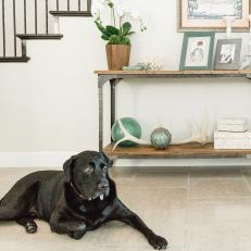 Console Table and Black Dog