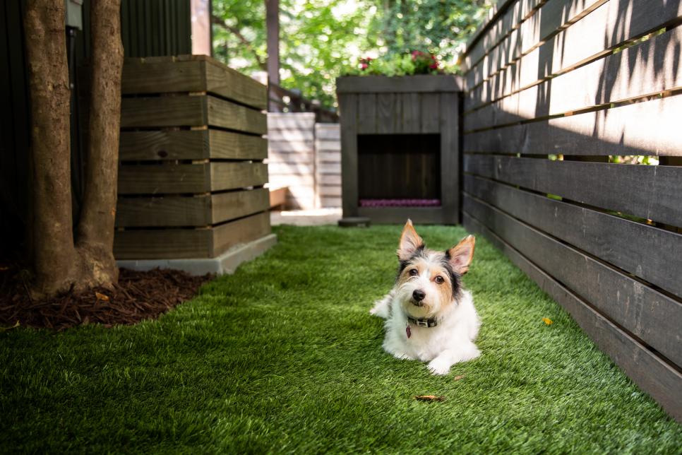 How To Build A Dog Run, How To Build An Outdoor Dog Potty Area On Deck