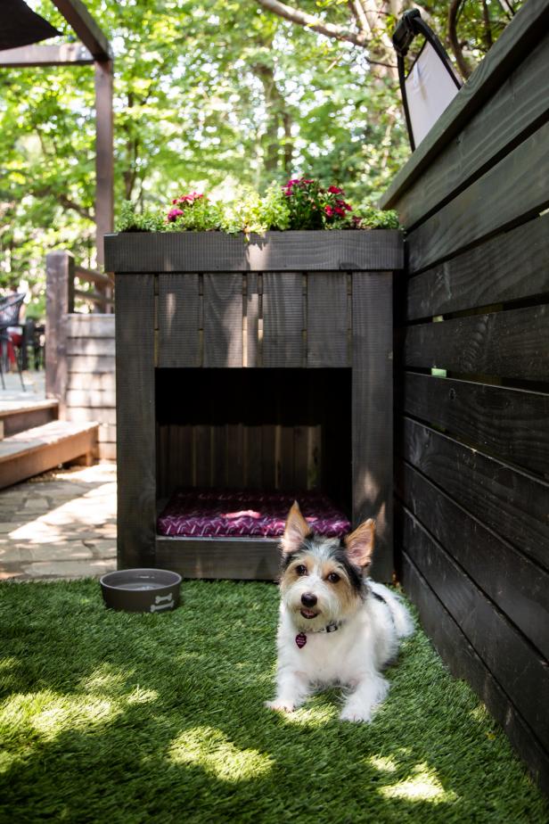 Providing some type of shelter is also a key design feature. A dog house gives your pet a “den” and plays to their natural instincts to stay cool and comfortable. Bonus points for making one that looks a bit like your own home!  See how to build one from upcycled materials HERE (link to our SXS?)