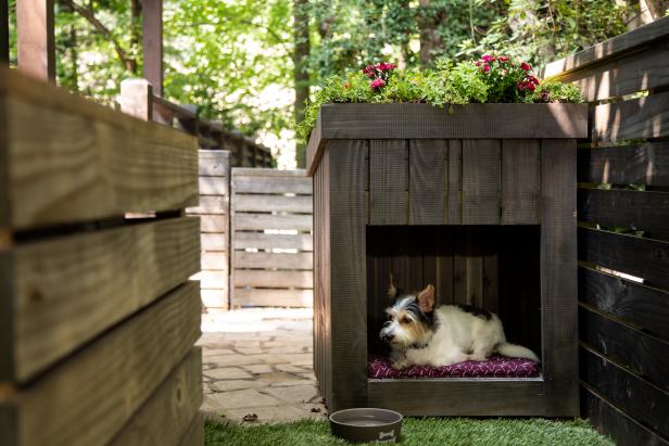 Garden store dog house