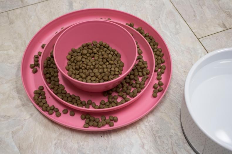 How to make your own puzzle bowl for your dog.
