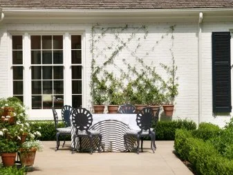 When appropriate and for parties, Rollins likes to use tablecloths on plain outdoor-ready tables  "because it feels more inviting." Using classic, simple terra-cotta pots throughout her garden allows her to keep a coordinated look and the pots can easily be used indoors as well.