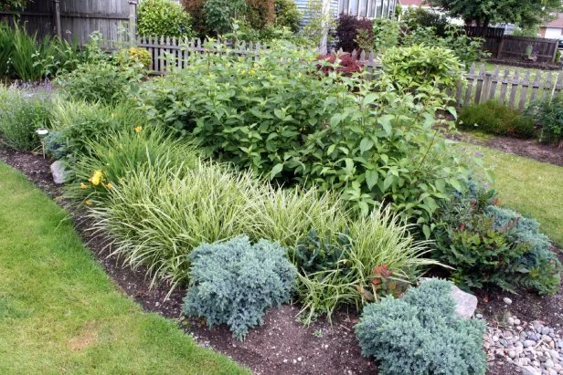 Plant Texture In Garden Design