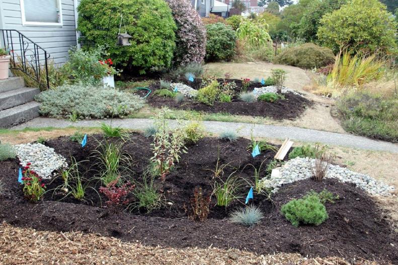 Rain Gardens Showing Overflow Spillway