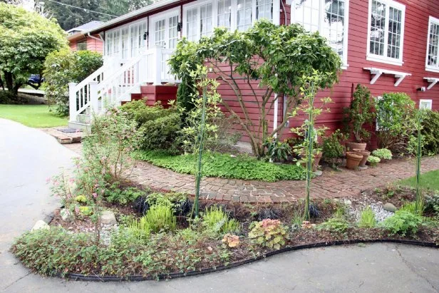 Rain Garden Design Ideas: Stunning Tips to Transform Your Yard