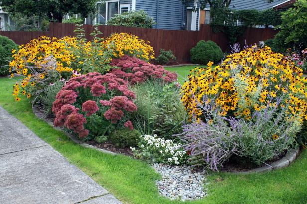 Front Yard Rain Garden