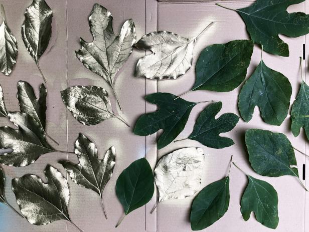 Table runner made of painted leaves.