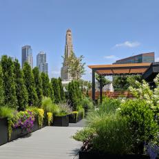 Rooftop Urban Garden with Custom Pergola