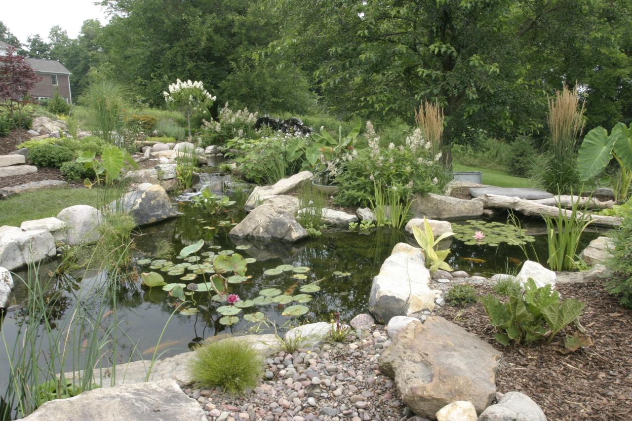 10 Things To Know Before You Build A Pond Hgtv