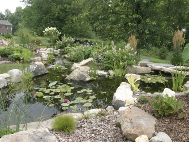 10 Things to Know Before You Build A Pond | HGTV