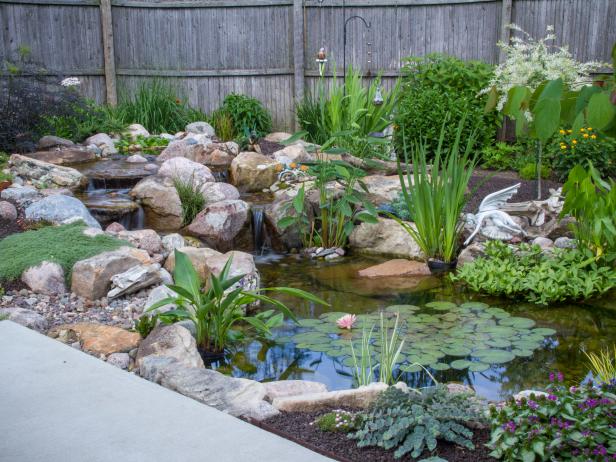 10 Things to Know Before You Build A Pond | HGTV