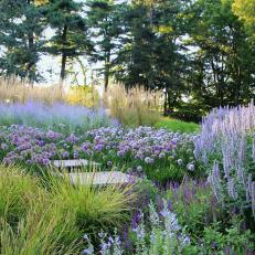 Purple and Blue Garden 