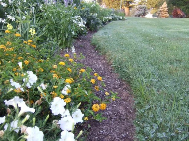 How to Edge around Flower Beds: Easy Tips for a Perfect Garden Look