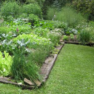Garden Edging Ideas & Tips | HGTV