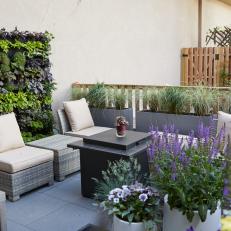 Patio Sitting Area With Vertical Garden 