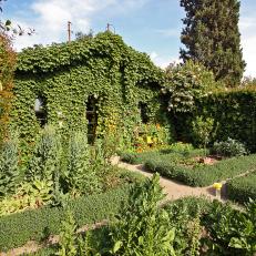 Vegetable Garden With Hedges