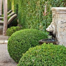 Lion Fountain in Courtyard