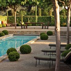 Courtyard With Pool and Topiaries