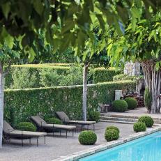 Courtyard With Lounge Chairs