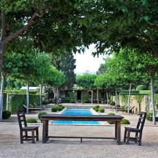 Courtyard With Mulberry Trees