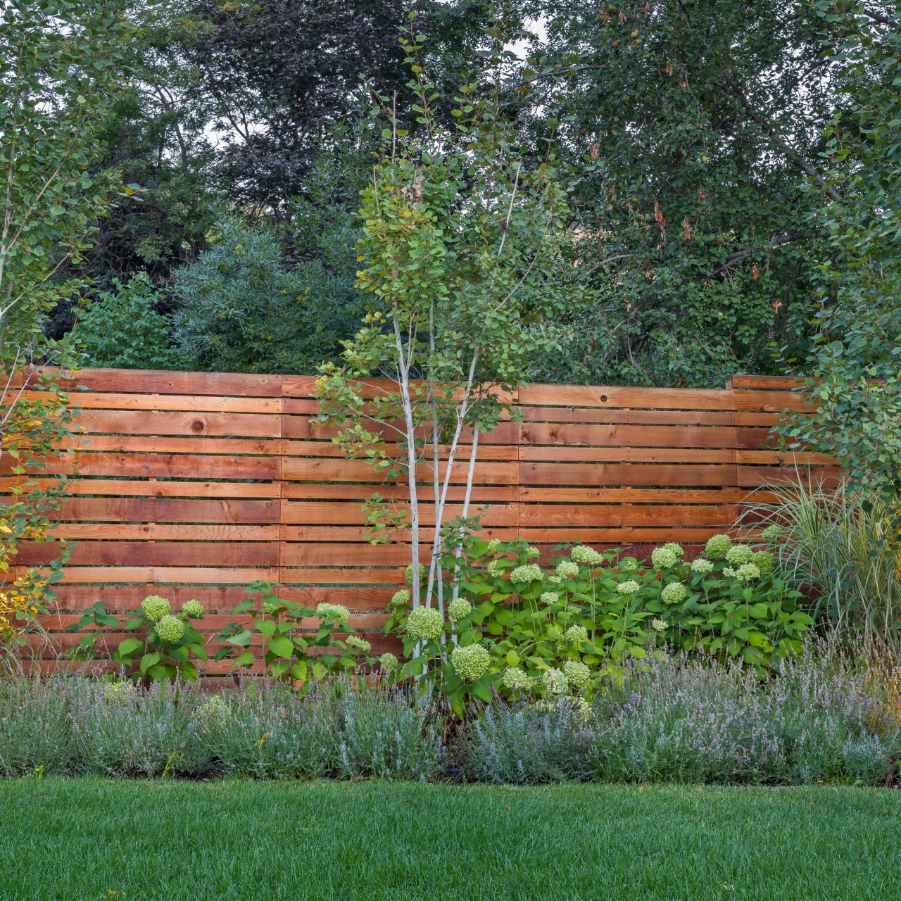 How Long Does Pressure-Treated Wood Stay Green? - All Around Fence