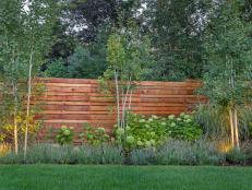 Garden and Fence With Up Lighting