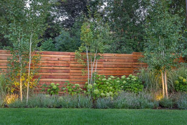 Garden With Up Lighting