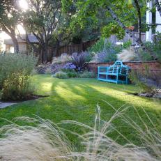 Backyard With Blue Bench