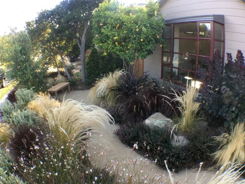 Front Yard and Window