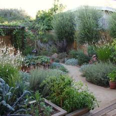 Backyard With Edible Garden