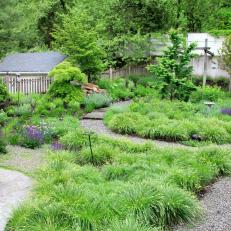 Backyard Garden With Oval Path