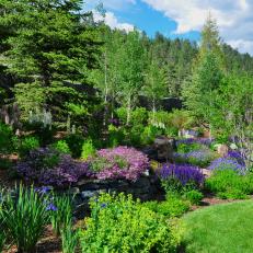 Garden With Purple Flowers