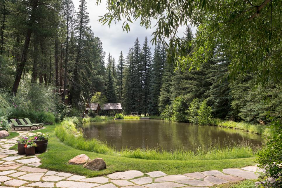 Pond and Fir Trees