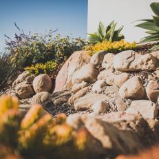 Dry Creek With Succulents