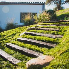 Steps in Grass