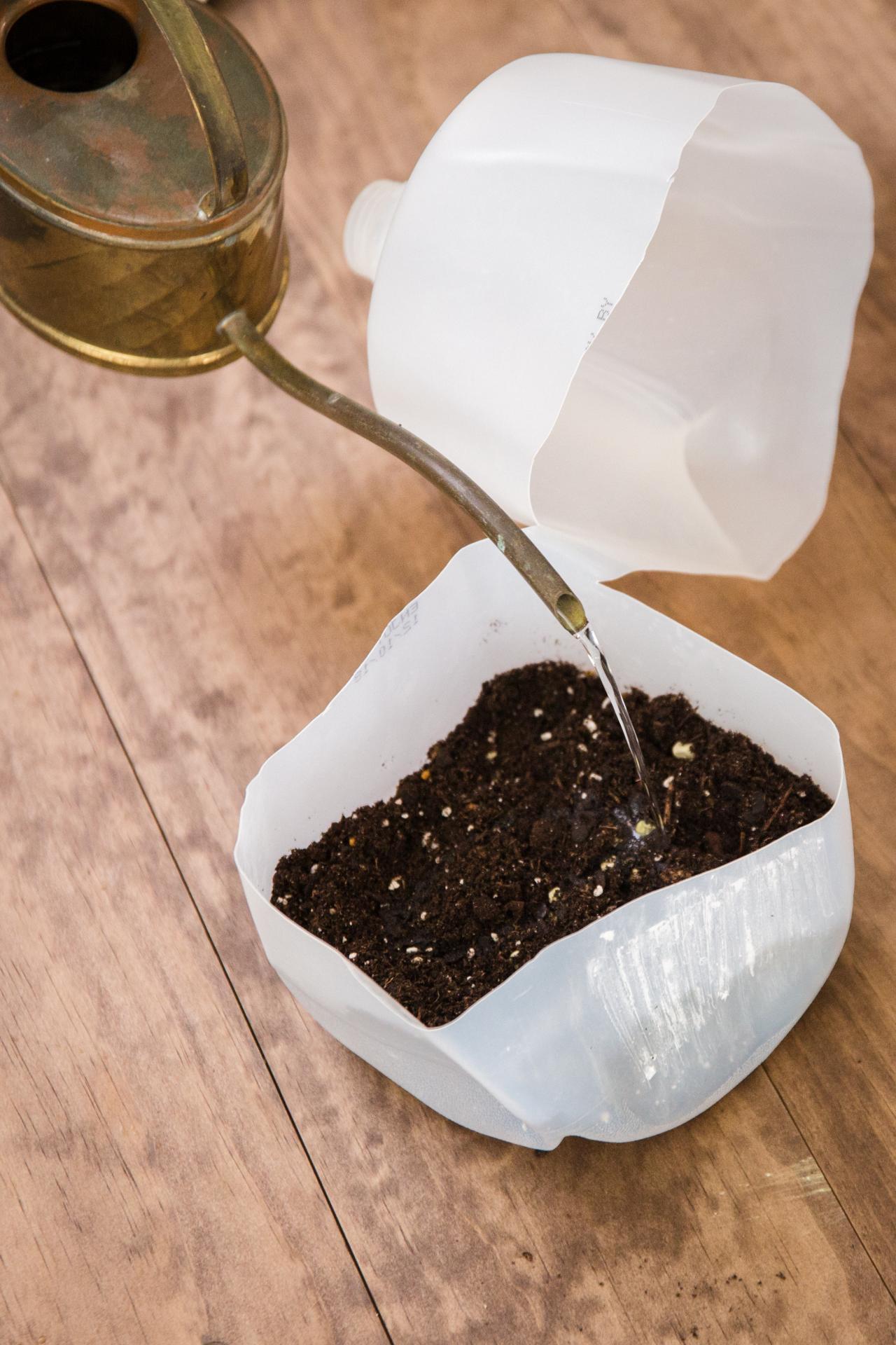 DIY Mini Greenhouse SeedStarters HGTV