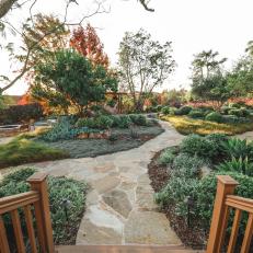 Backyard Garden With Stone Path