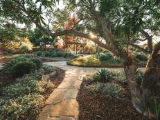 Garden and Flagstone Path