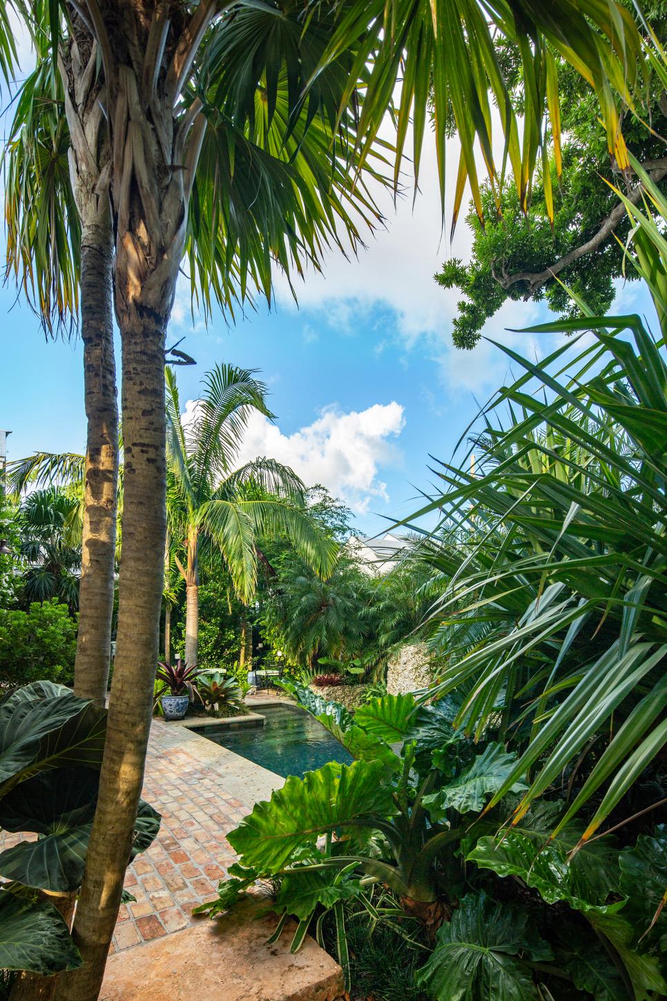 Tropical Plants Around Pool | HGTV