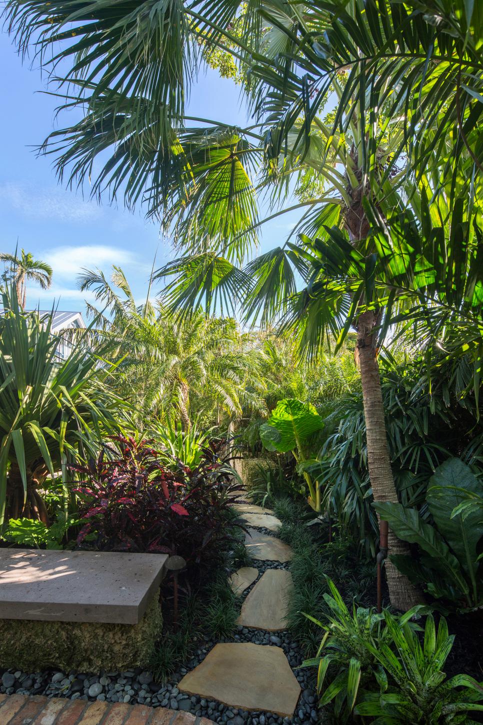 Stone Path and Tropical Plants | HGTV