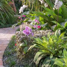 Orchids in Tropical Garden
