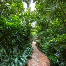 Tropical Garden and Brick Path