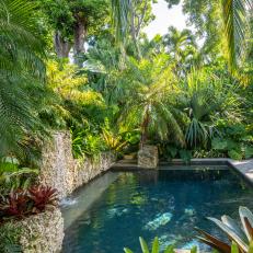 Swimming Pool and Tropical Garden