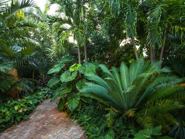 Tropical Secret Garden | Craig Reynolds Landscape Architecture | HGTV