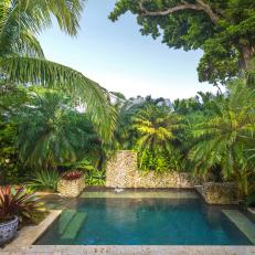 Small Pool and Palms