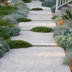 Paver Path With Thyme