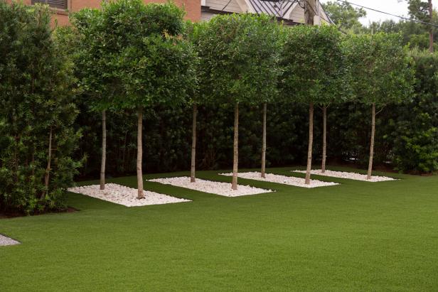 Holly Trees and White Gravel | HGTV