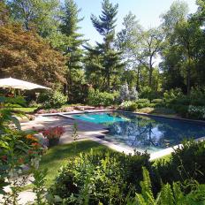 Pool Surrounded by Garden
