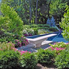 Diving Board and Garden