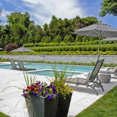 Modern Pool and Formal Garden
